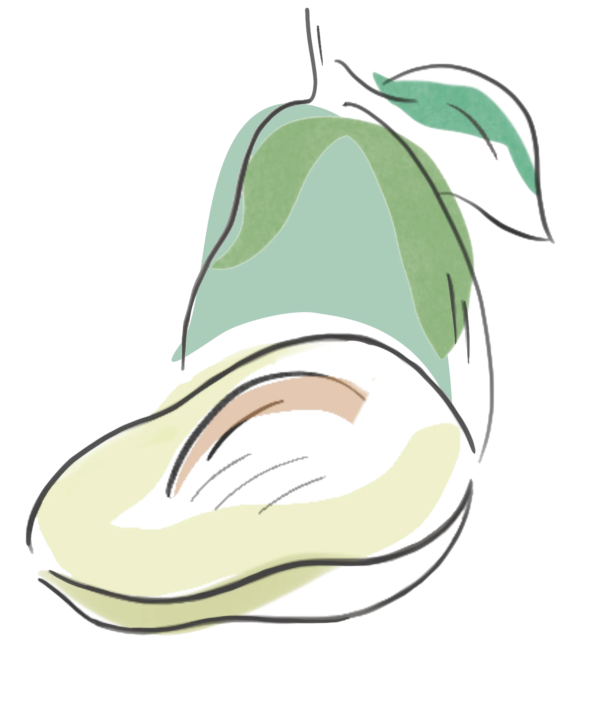 Avocado Oil