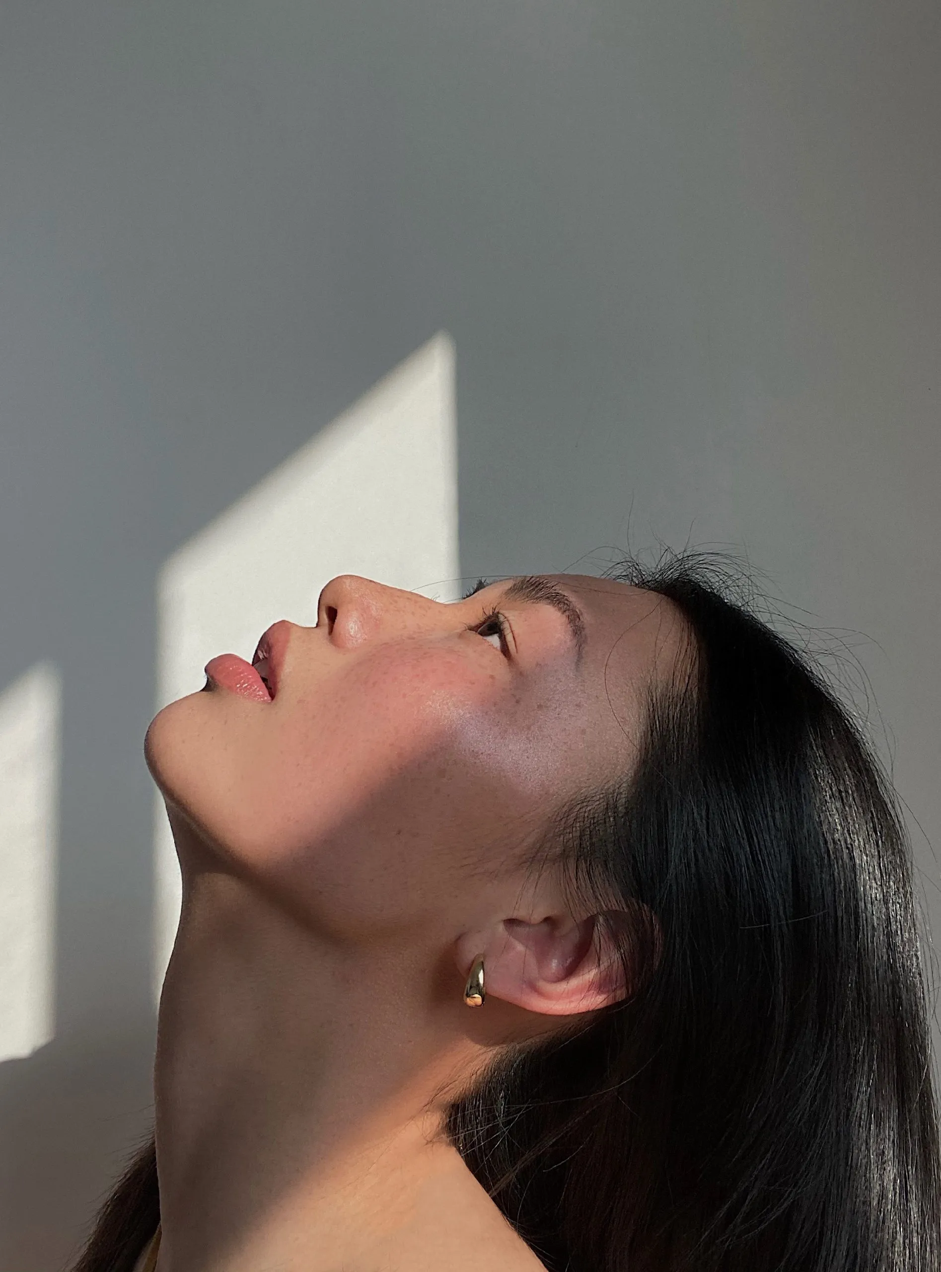 Looking up — a quest for the Blue Flower