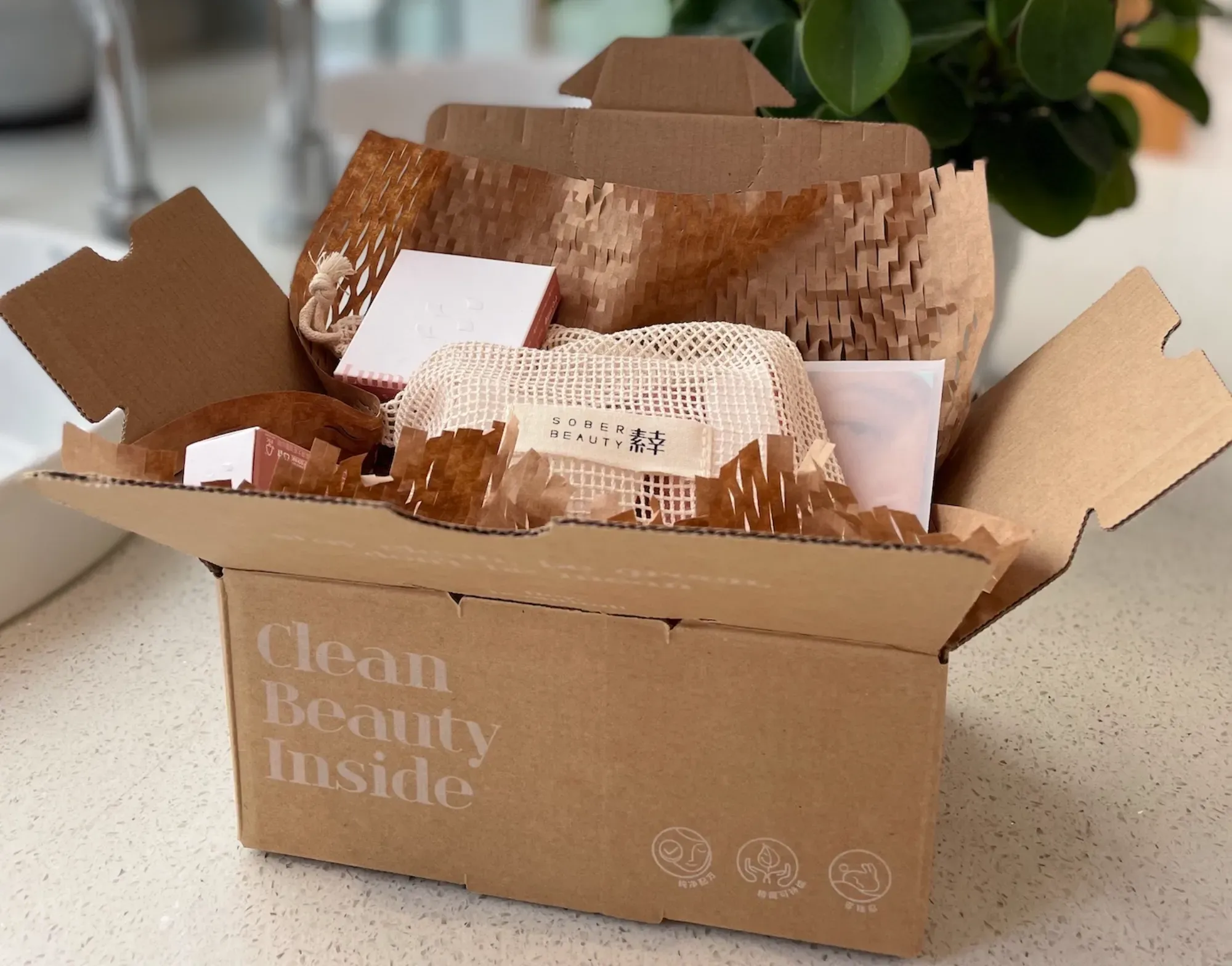 Plastic-free shipping box