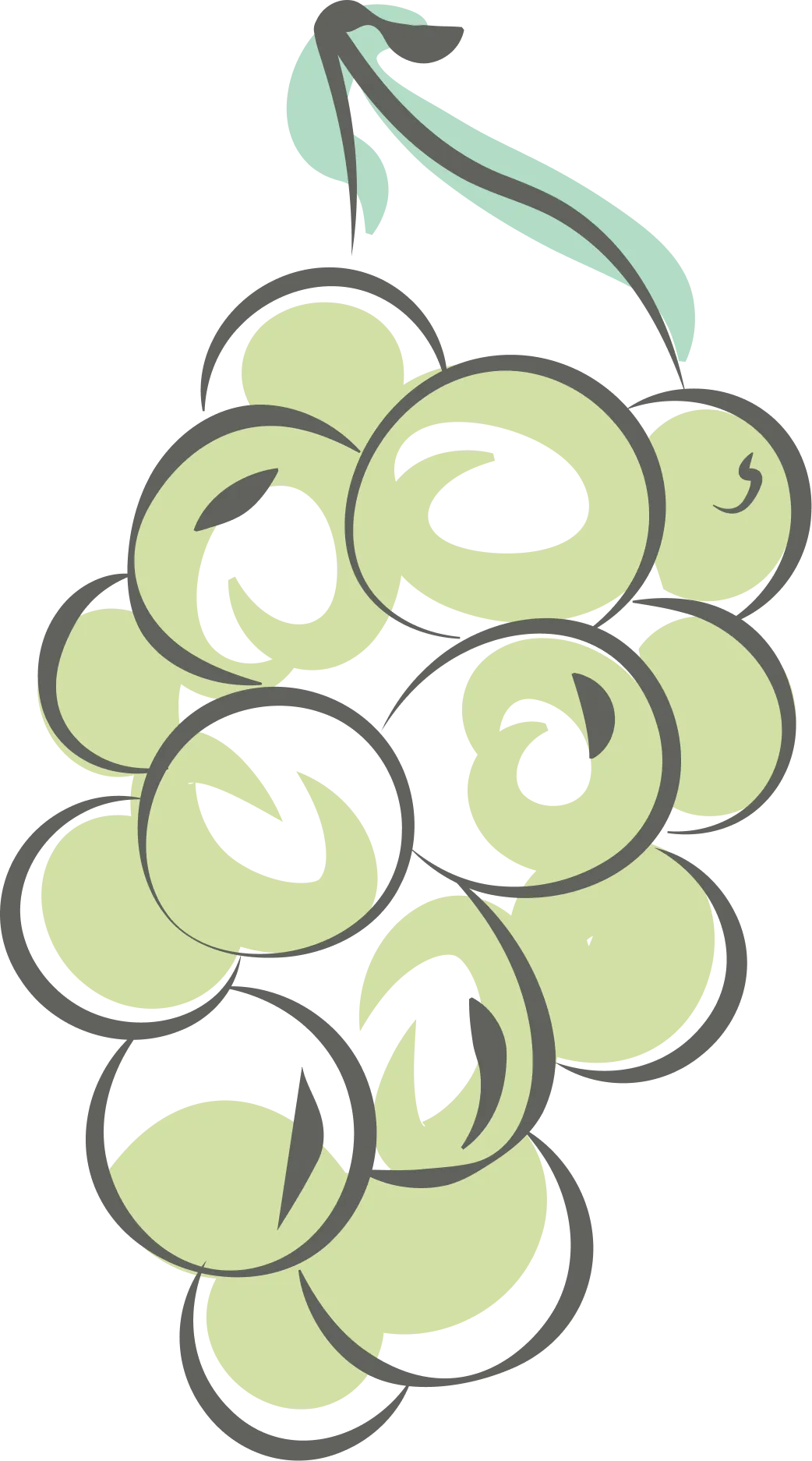 Grape Seed Oil