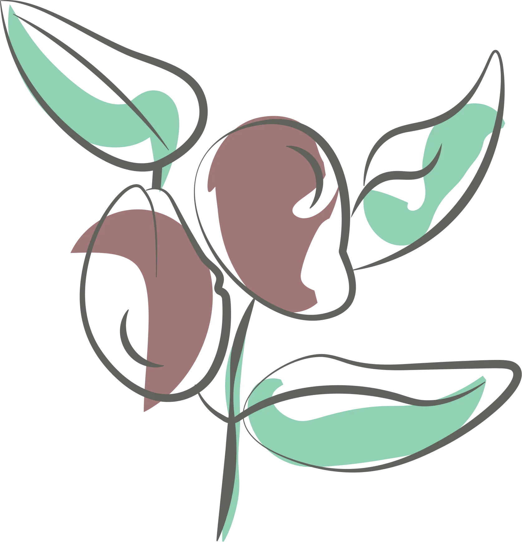 Jojoba Seed Oil