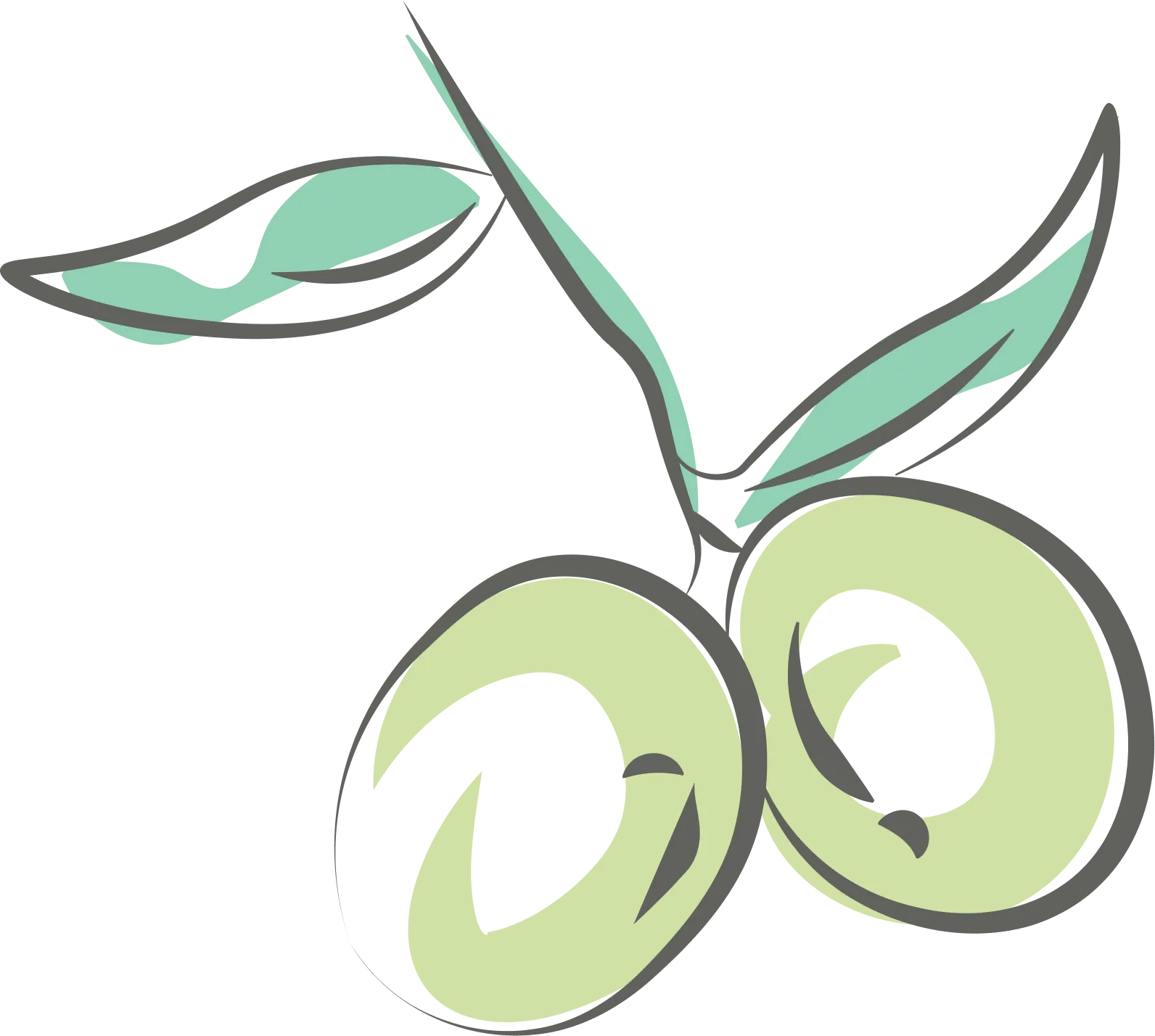 Olive Fruit Oil