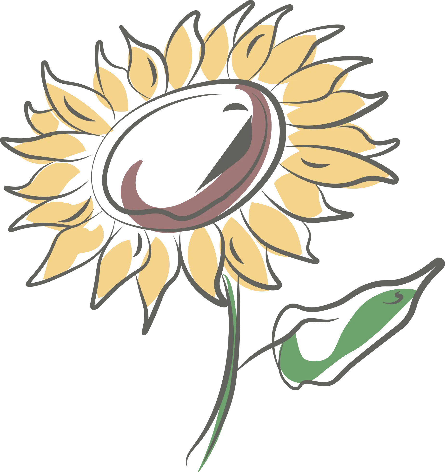 Plant-Based Squalane