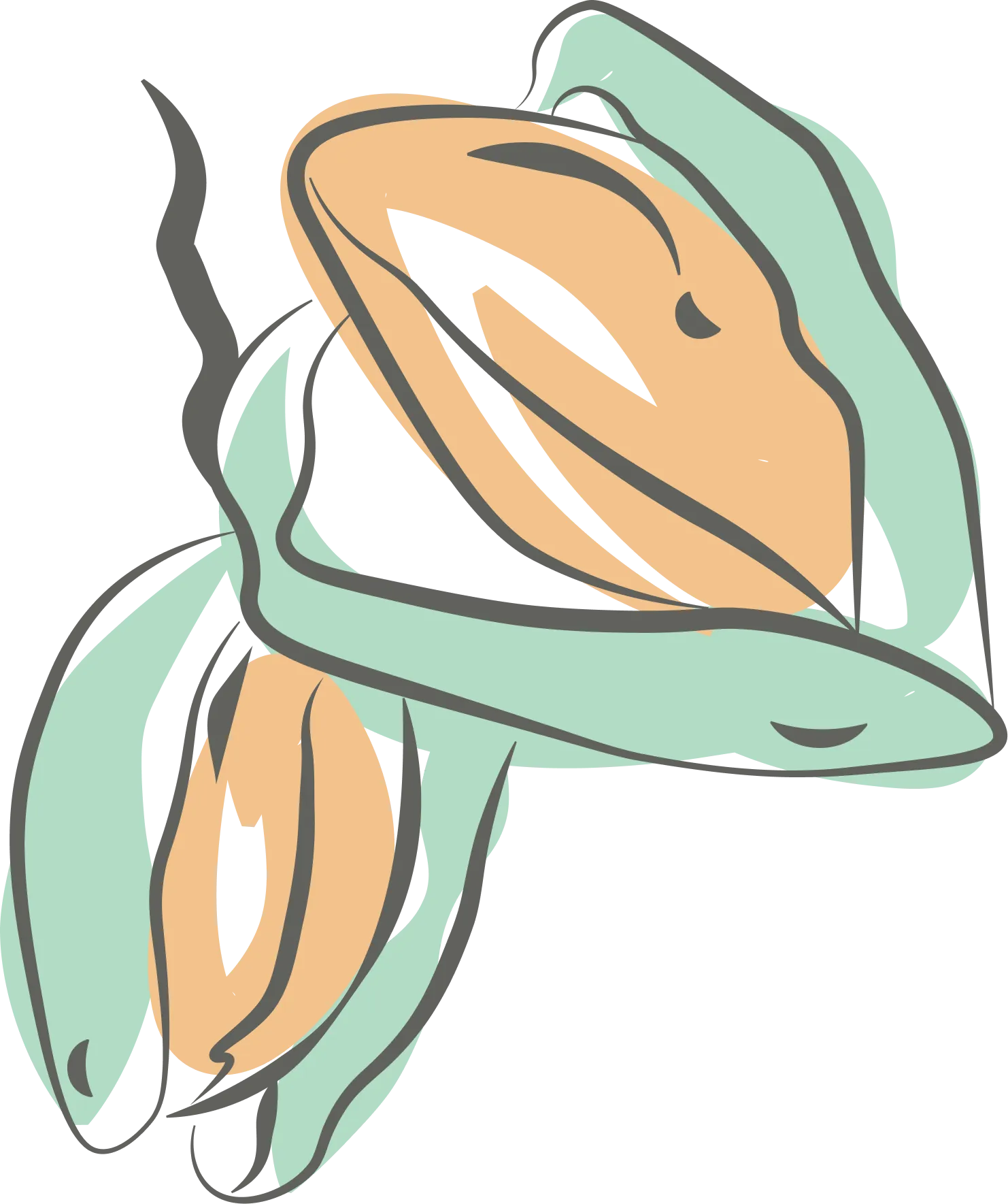 Sweet Almond Oil
